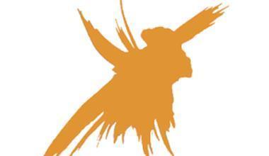 ABBIAMO IMBOTTIGLIATO L'APOCALISSE 2017 Delea Vini e Distillati