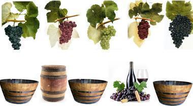 Il Merlot fatto all'antica moda