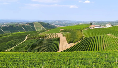 Pelissero: territorio, carattere e tempo