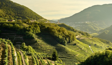 Cesarini Sforza: l'eleganza delle Alpi in ogni calice