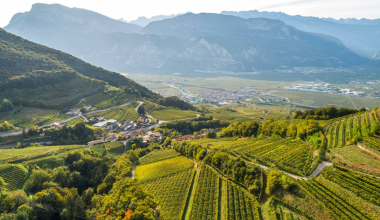 Pojer e Sandri: eleganza dal cuore delle Dolomiti