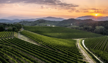 Tunella: storia di famiglia e terra friulana