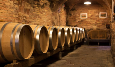 Santa Barbara: emozione, visione e vino dal cuore delle Marche