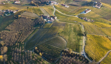 Poderi Luigi Einaudi