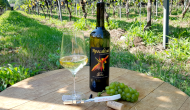 Quali sono i migliori Vini per l’Autunno?