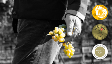 Tutti i Premi ricevuti dai Vini Delea