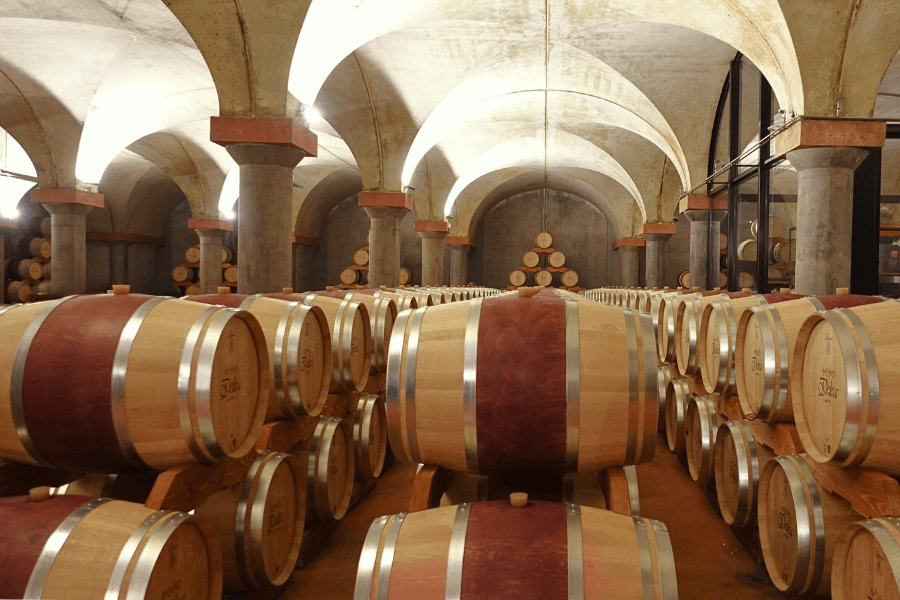 Barriques marchiate Delea nella barricaia di Losone