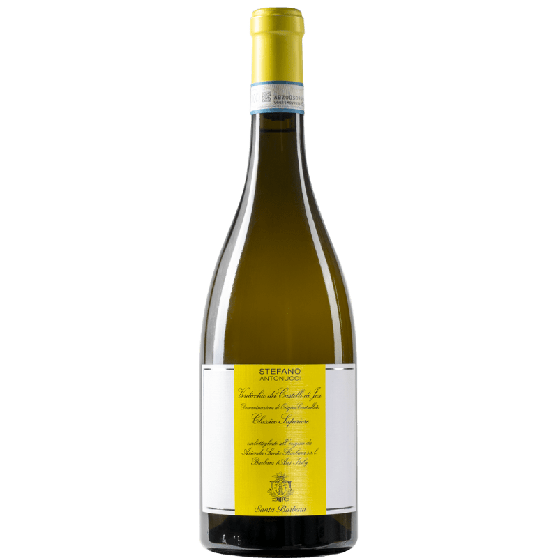 Verdicchio dei Castelli di Jesi Classico Superiore DOC Stefano Antonucci-SANTA BARBARA
