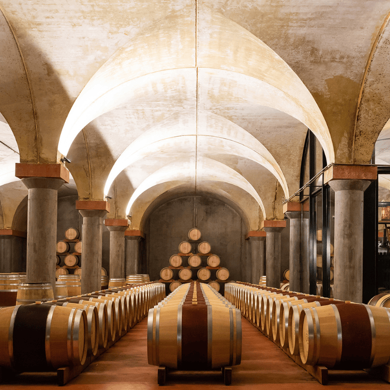 EVENTS DELEA Visita Cantina VISITA+DEGUSTAZIONE ARGENTO