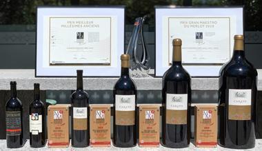 I PREMI DELEA AL MONDIAL DU MERLOT 2019