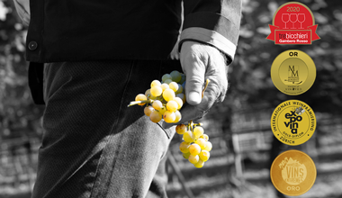 Tutti i Premi ricevuti dai Vini Delea