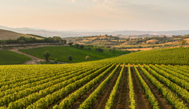 Le stadere, la Toscana tra origini e natura