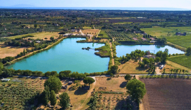 I Greppi: tradizione e innovazione tra le colline di Bolgheri