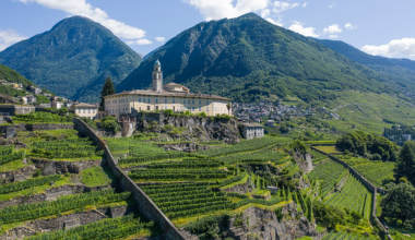 Convento San Lorenzo: tradizione vinicola e spiritualità in Valtellina