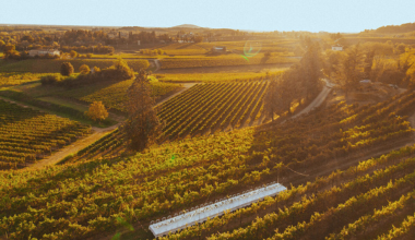 Fondazione Villa Russiz