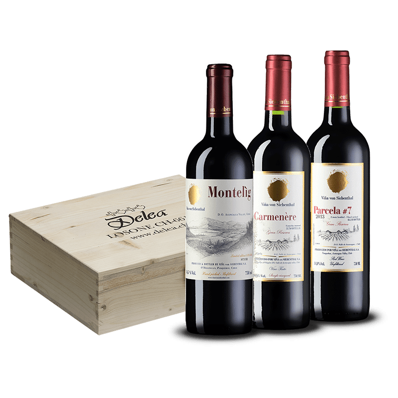 VIÑA VON SIEBENTHAL Idee Regalo Caja regalo Chile VIÑA VON SIEBENTHAL