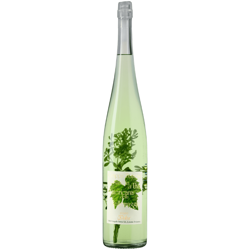 DELEA Distillati 150 cl / Americana Erba Ruta Grappa Vallemaggia