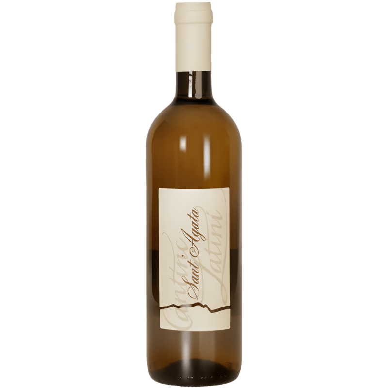 LATINI Bianchi 75 cl / 2023 Sant&#39;Agata Bianco del Ticino DOC