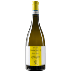 Verdicchio dei Castelli di Jesi Classico Superiore DOC Stefano Antonucci-SANTA BARBARA