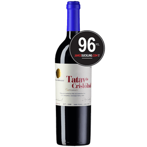 96 Punti JAMES SUCKLING, VIÑA VON SIEBENTHAL Rossi 75 cl / 2011 Tatay de Cristóbal Rosso Cile DO